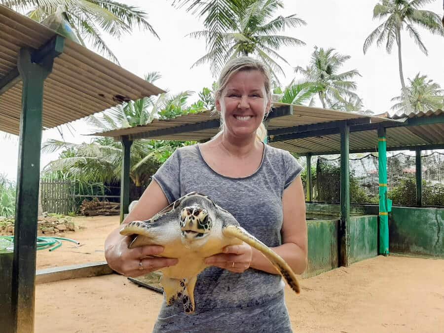 volunteer luang prabang laos