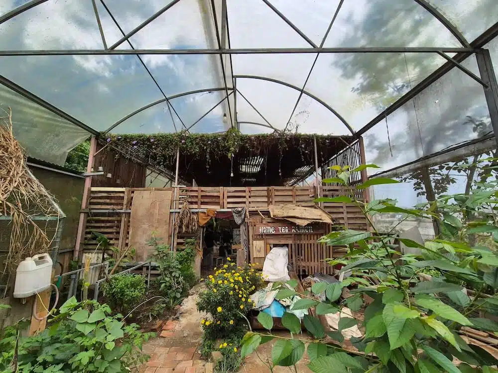 vietnam-dalat-Eco Farming