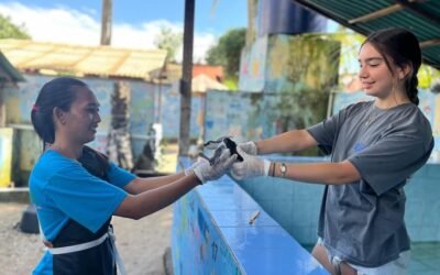 Volunteer Turtle Conservation Bali