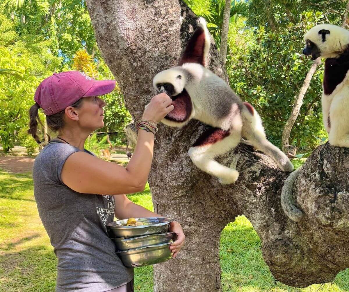 Madagascar-_Lemurs Conservation Project (15)