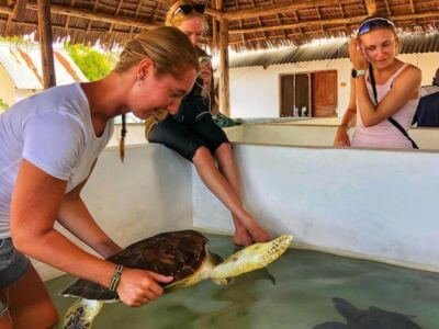 volunteer abroad zanzibar best volunteer abroad programs