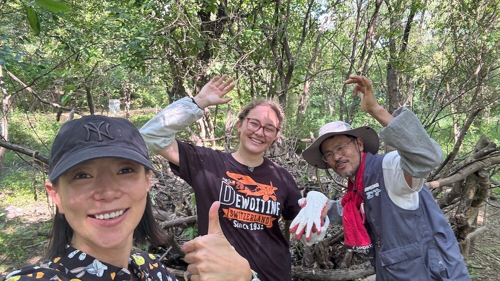 Seoul Eco Park Rehabilitation (67)