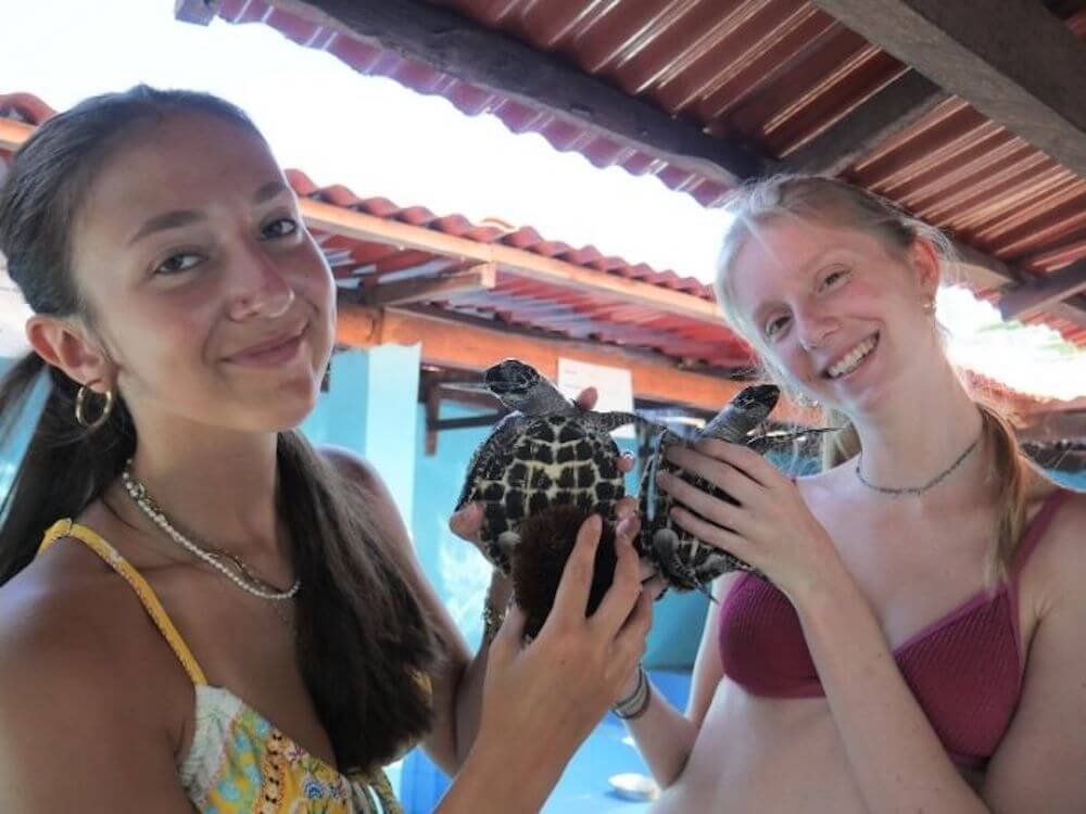 bali-volunteer-_Turtle Conservation - Nusa Penida (18) volunteer group in bali