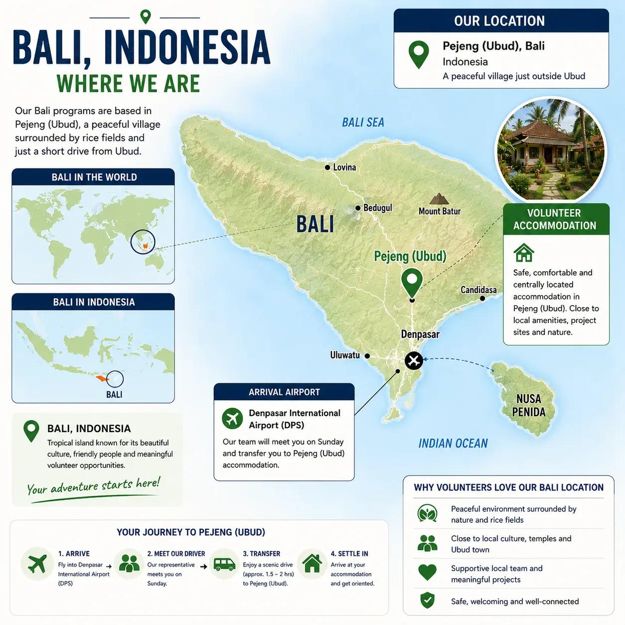 volunteer program locations abroad escape and the green lion in bali indonesia